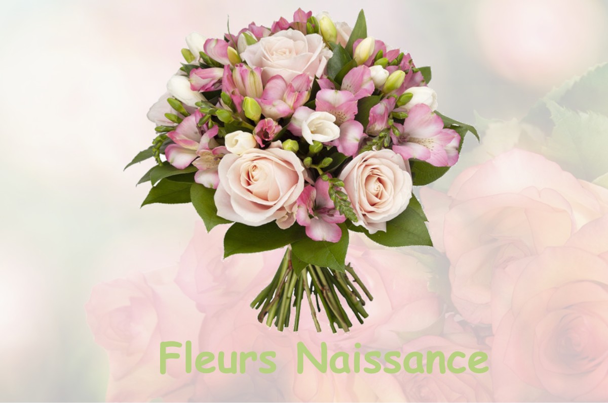 fleurs naissance BELAN-SUR-OURCE