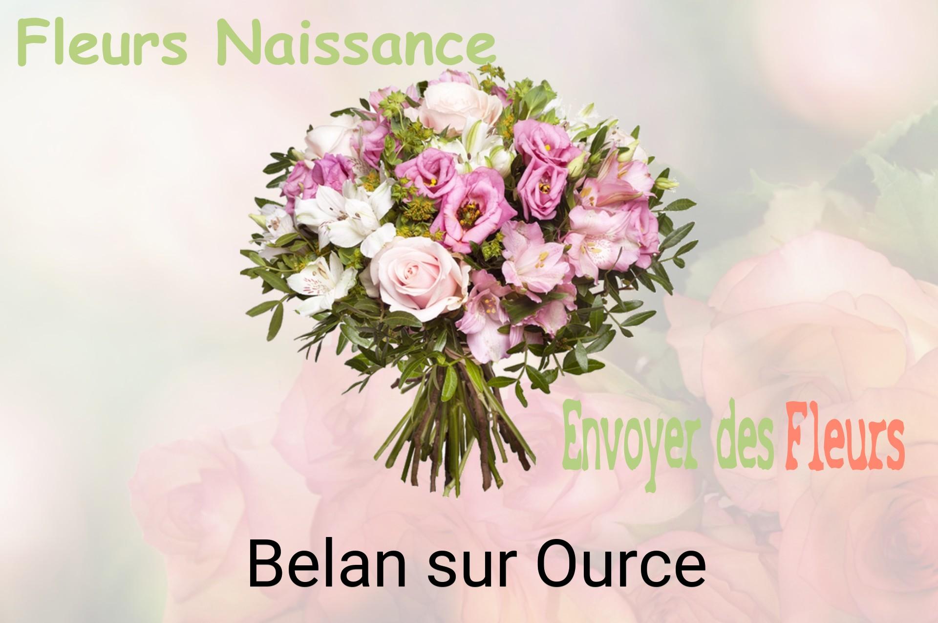 Bouquet de fleurs de naissance livré à Belan-sur-Ource