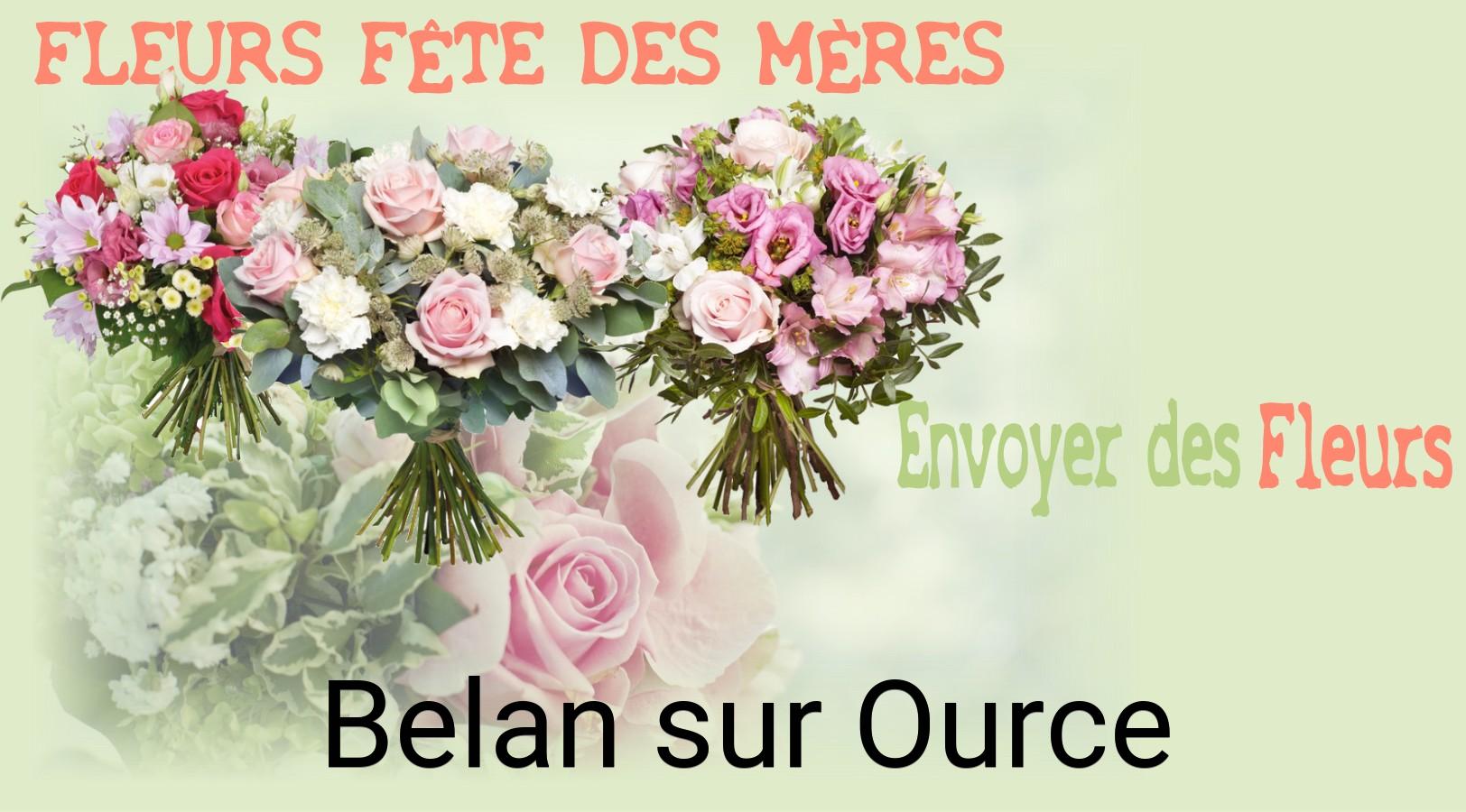 Bouquet de Fête des Mères livré à Belan-sur-Ource